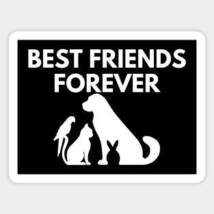 Best Friends Forever Magnet